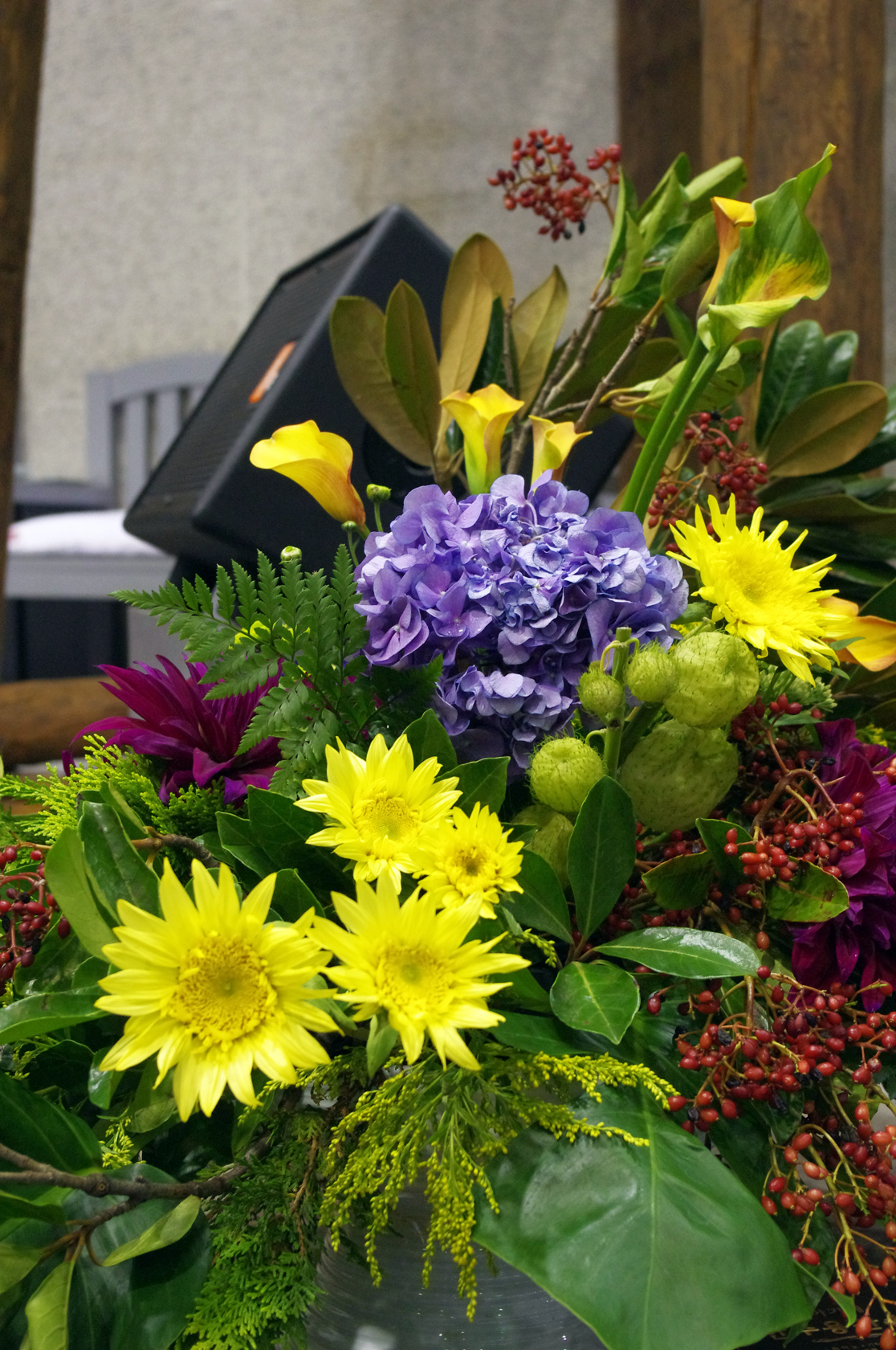 IMGP6526.JPG